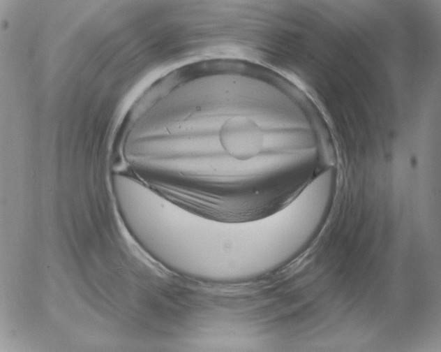 X0000053081342200508011956