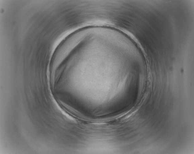 X0000053081343200508011956