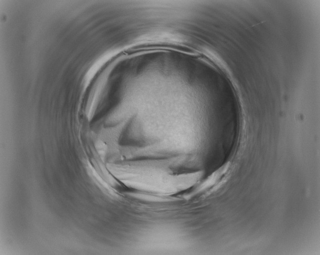 X0000053081344200508011956