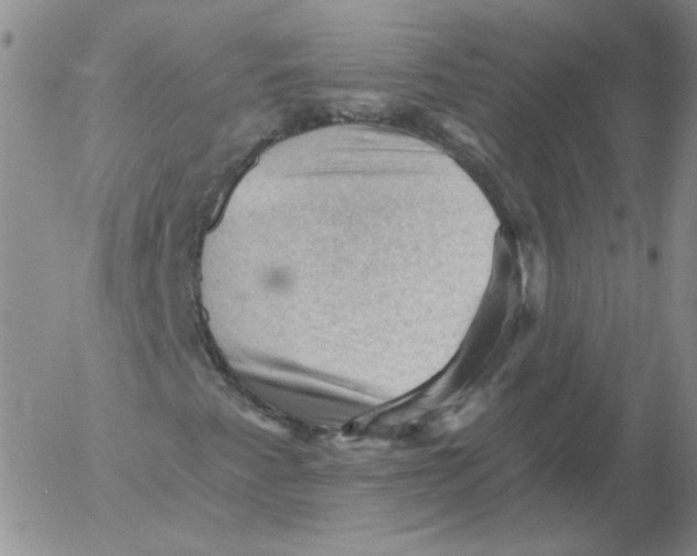 X0000053081345200508011955