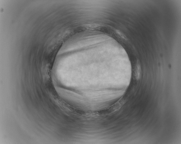 X0000053081346200508011955