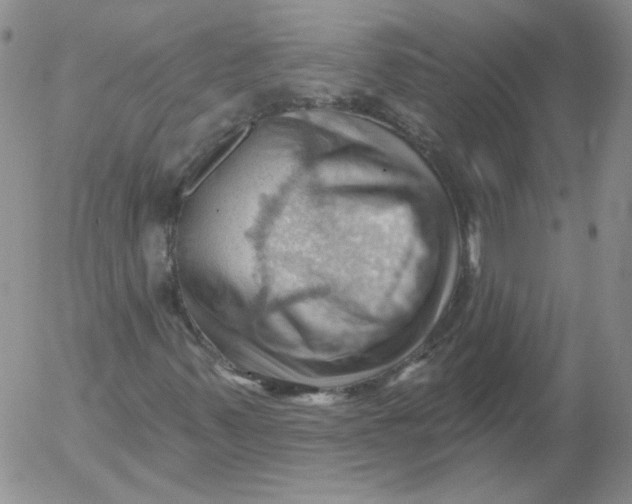 X0000053081347200508011955