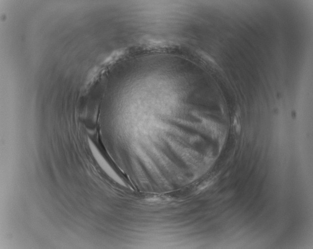 X0000053081348200508011955