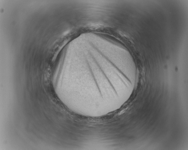 X0000053081349200508011955