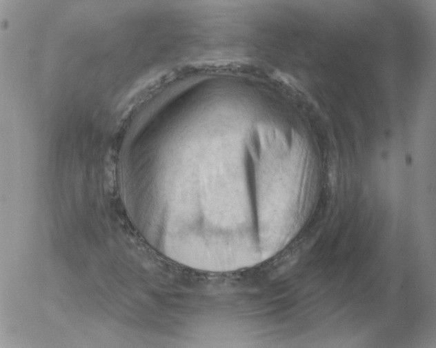 X0000053081350200508011955