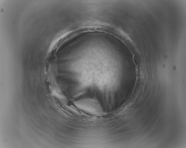 X0000053081352200508011955