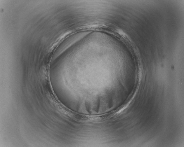 X0000053081353200508011955