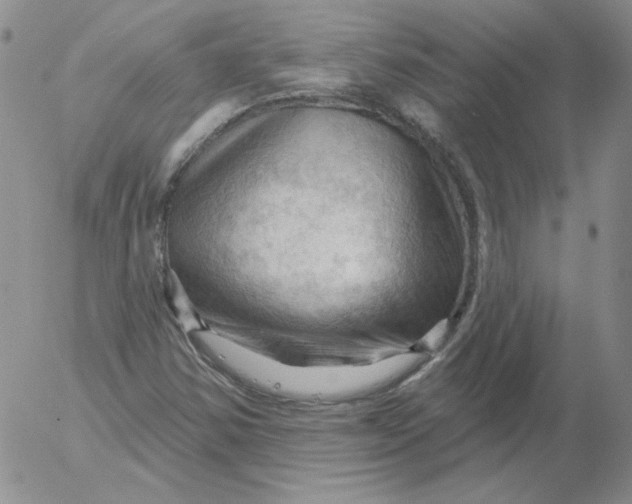 X0000053081354200508011955