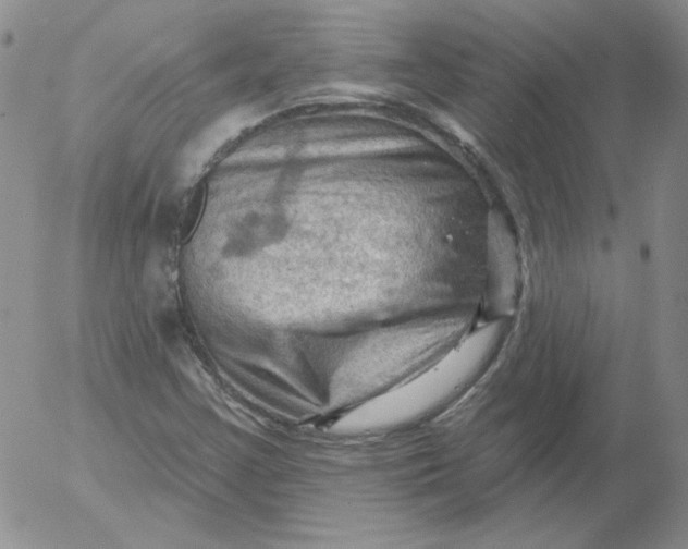 X0000053081355200508011955