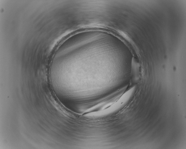 X0000053081356200508011955