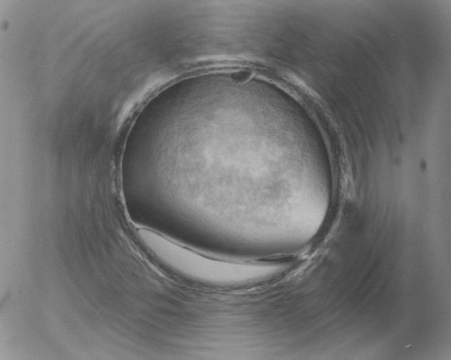 X0000053081357200508011955