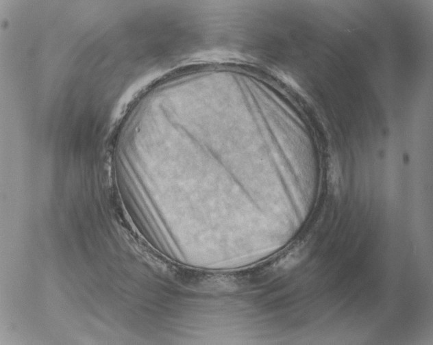 X0000053081358200508011955