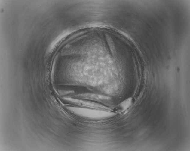 X0000053081359200508011955