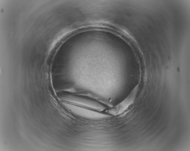 X0000053081360200508011955