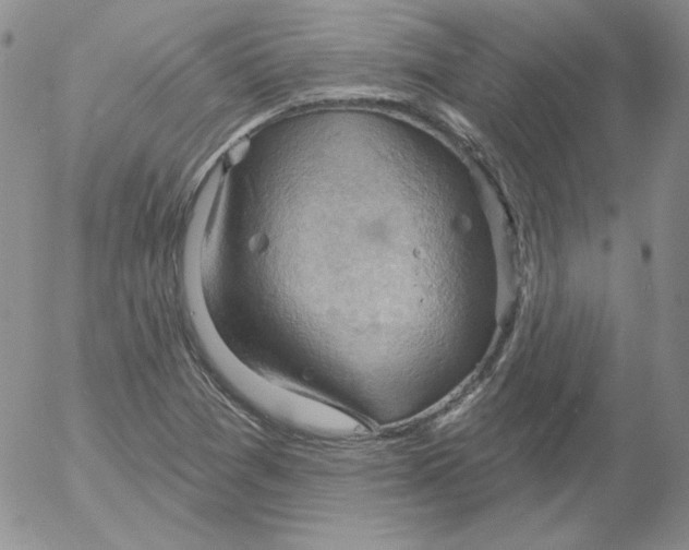 X0000053081361200508011955