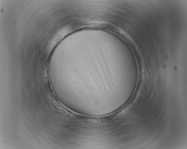 X0000053081362200508011955