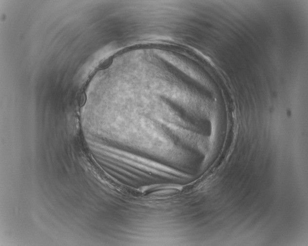 X0000053081363200508011955