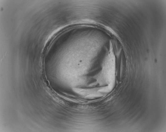 X0000053081364200508011955