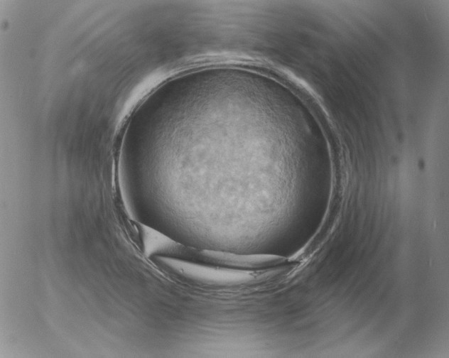 X0000053081365200508011955