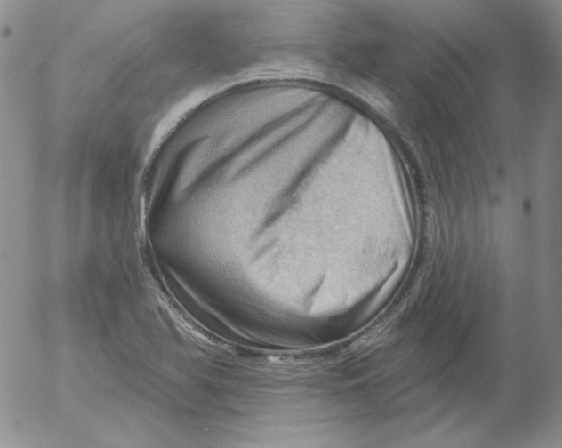 X0000053081366200508011955