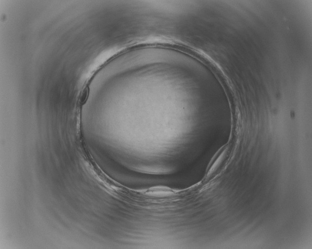 X0000053081367200508011955