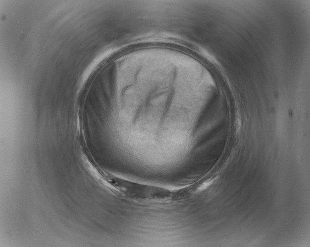 X0000053081368200508011955