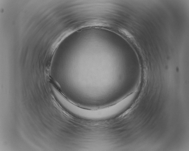 X0000053081369200508011955