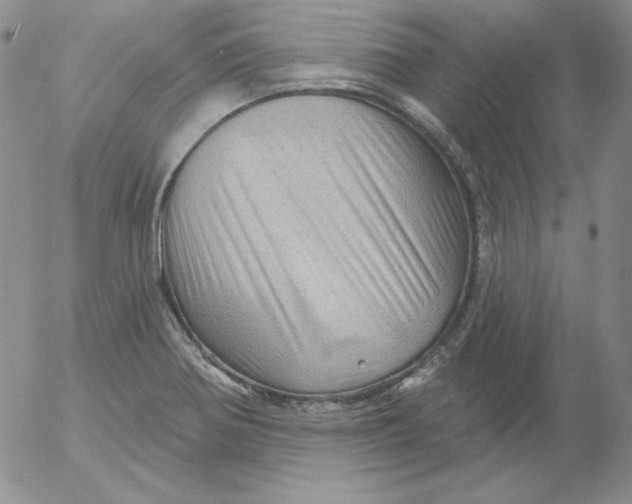 X0000053081370200508011955