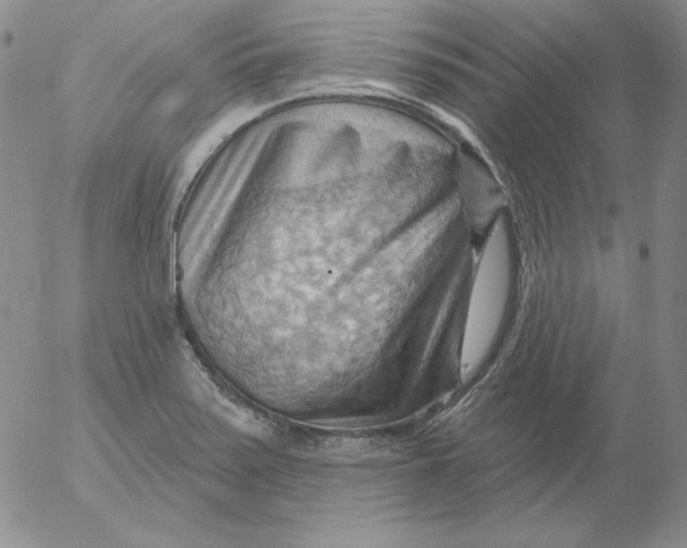 X0000053081371200508011955