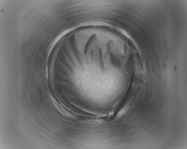 X0000053081372200508011955