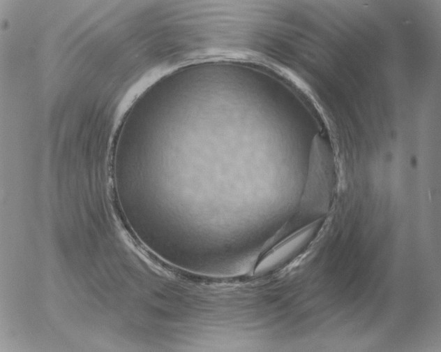 X0000053081373200508011955