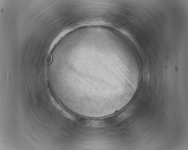 X0000053081374200508011955