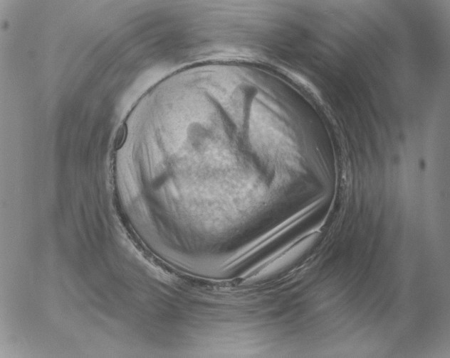 X0000053081375200508011955