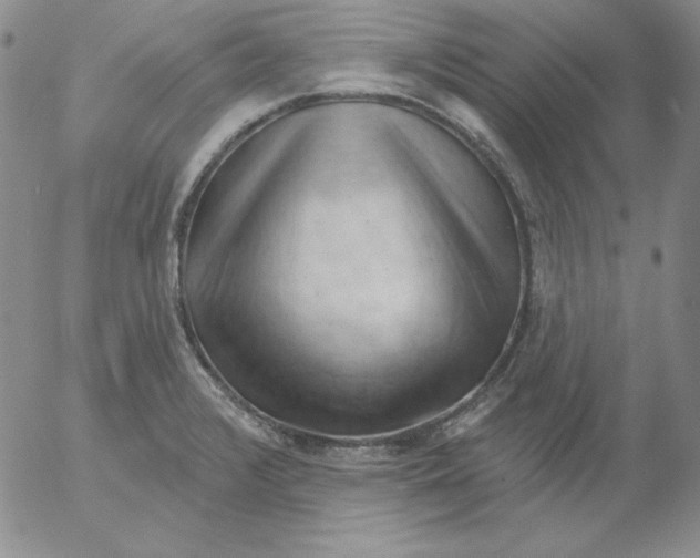 X0000053081376200508011955