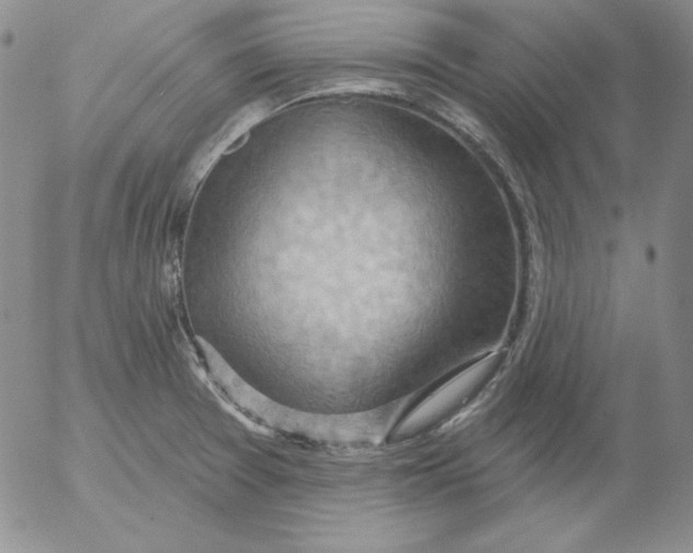 X0000053081377200508011955