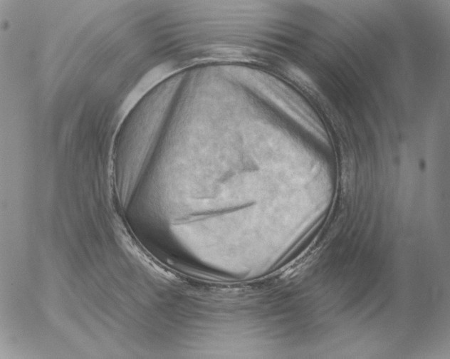 X0000053081378200508011955