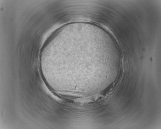 X0000053081379200508011955