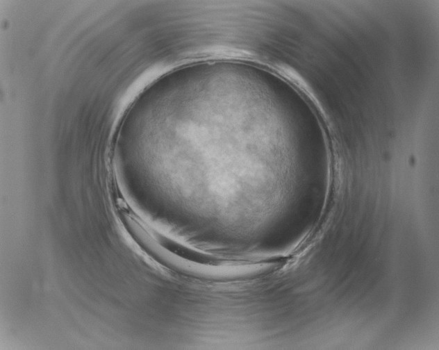 X0000053081381200508011955