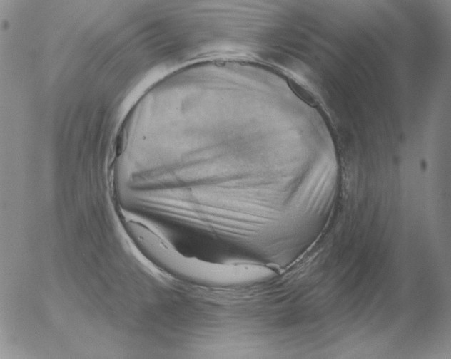 X0000053081383200508011955