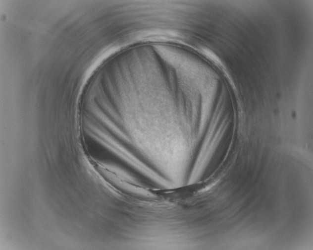 X0000053081384200508011955