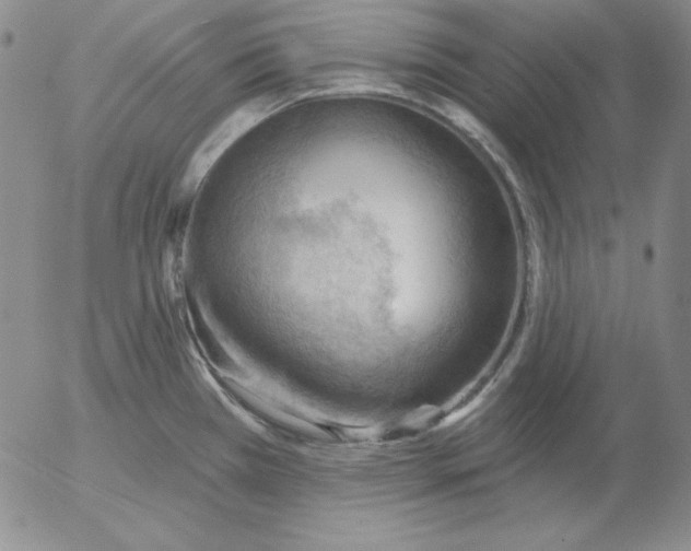 X0000053081385200508011955