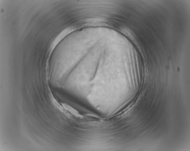 X0000053081386200508011955