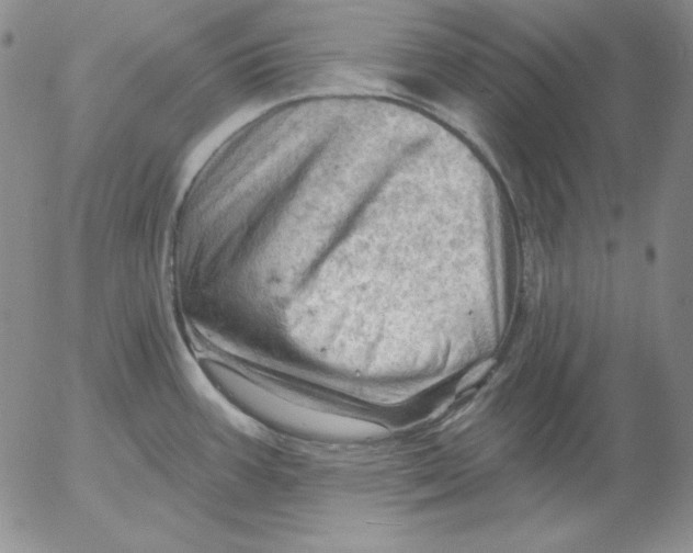 X0000053081387200508011955