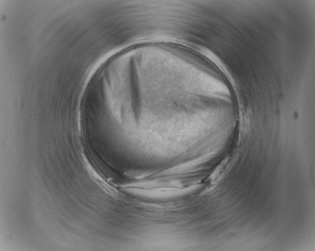 X0000053081388200508011955