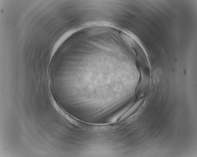 X0000053081389200508011955