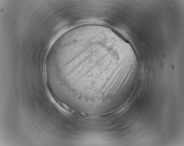 X0000053081391200508011955