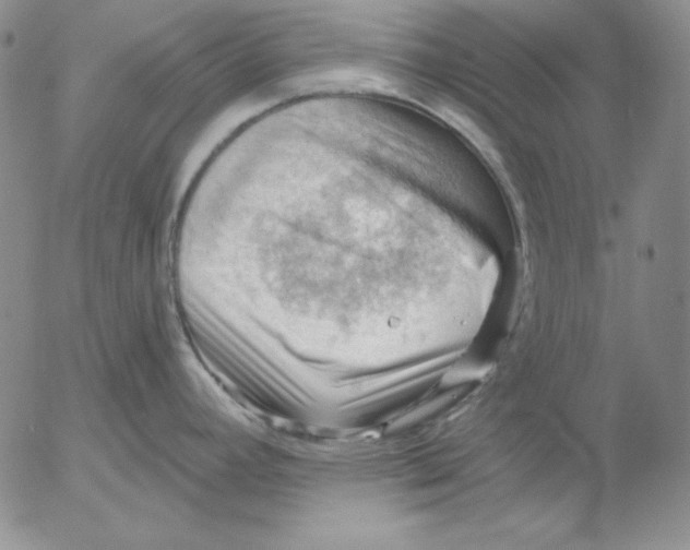 X0000053081392200508011955