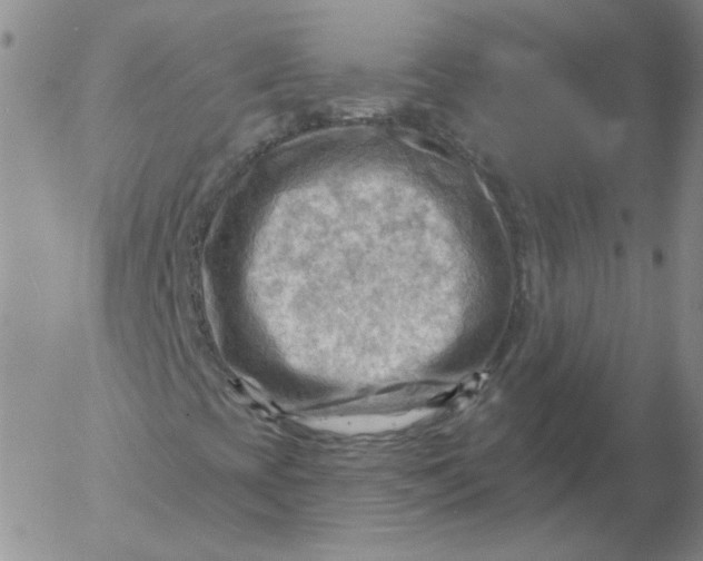 X0000053081393200508011954