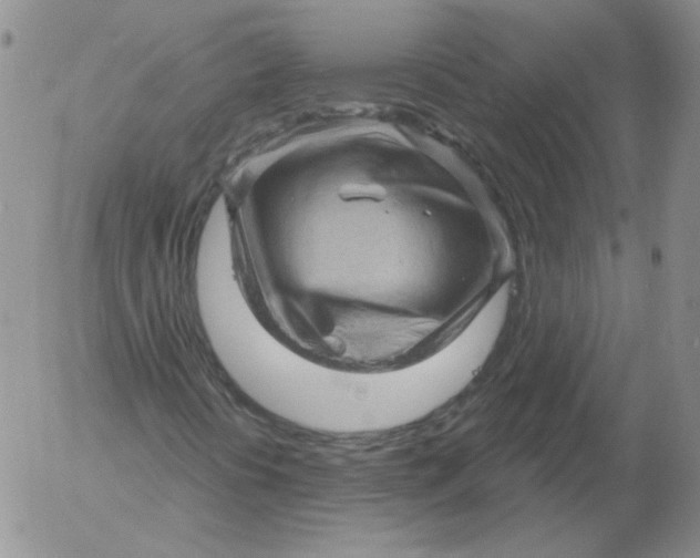 X0000053081394200508011954