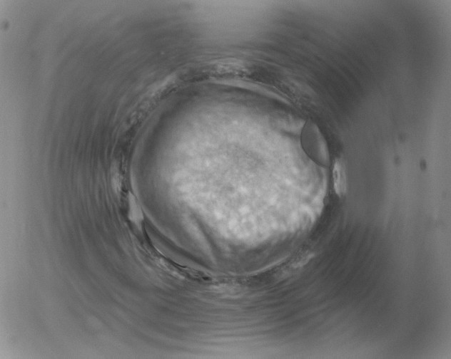 X0000053081395200508011954